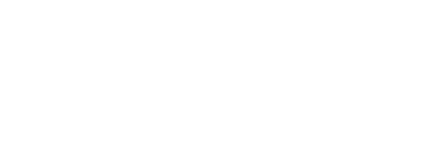 SmartBiz